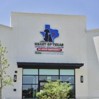Heart of Texas Veterinary Specialty Center ico