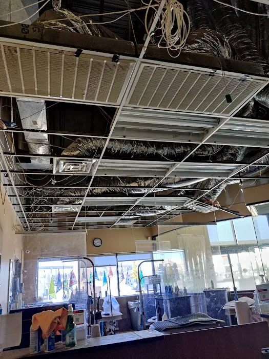 Banfield Pet Hospital Picture 9