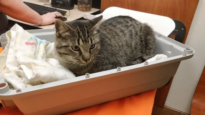 Banfield Pet Hospital Picture 1