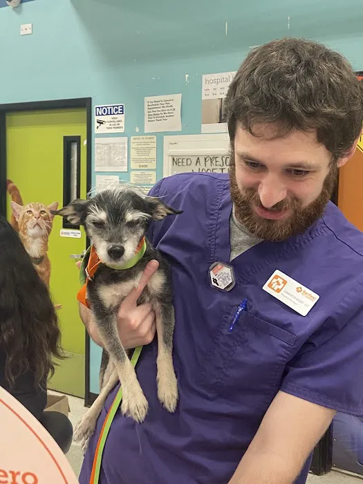Banfield Pet Hospital Picture 5