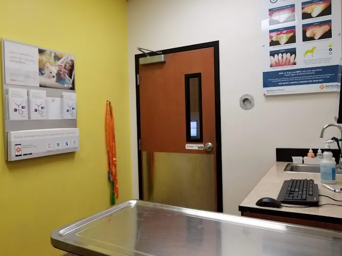 Banfield Pet Hospital Picture 2