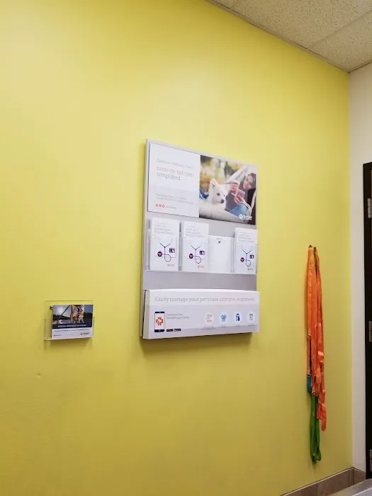 Banfield Pet Hospital Picture 4