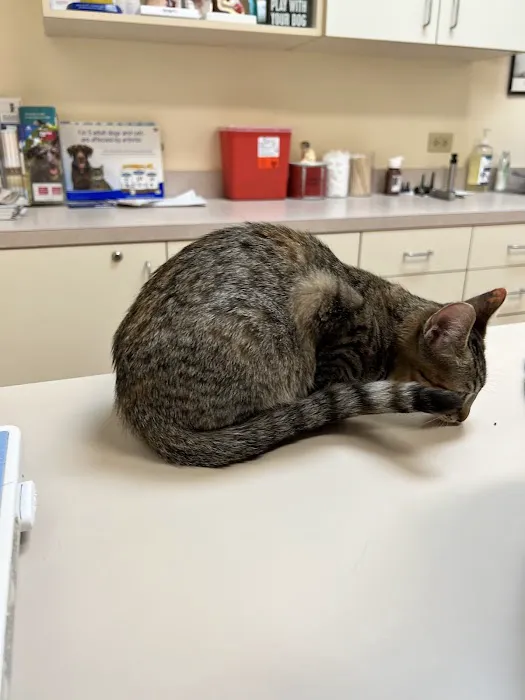 Forest Creek Animal Hospital Picture 5