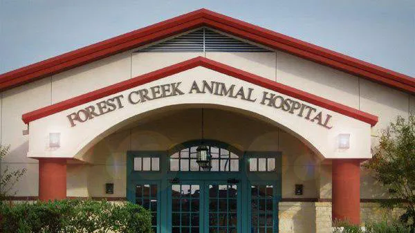Forest Creek Animal Hospital Picture 2