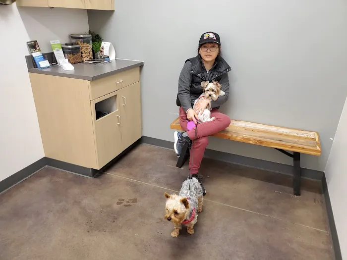 Thrive Pet Healthcare - Cedar Park Picture 4