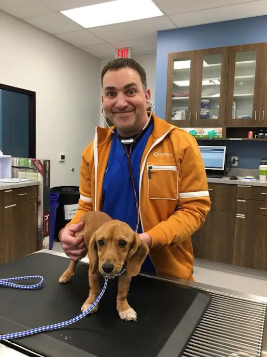 New Hope Animal Hospital Picture 5