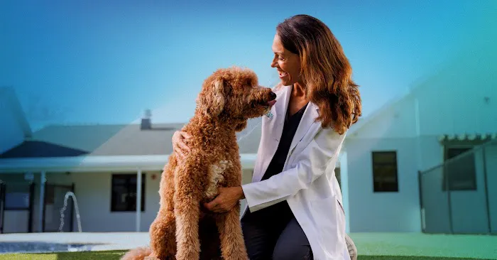 NewDay Veterinary Care Picture 1