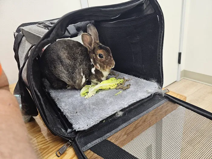 Agave Vet Care & Exotic Animal Hospital Picture 5