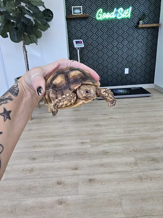 Agave Vet Care & Exotic Animal Hospital Picture 9