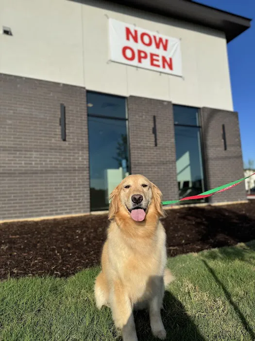 Pointe 183 Animal Hospital & Urgent Care Picture 3