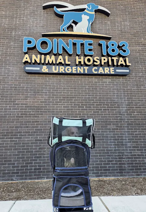 Pointe 183 Animal Hospital & Urgent Care Picture 7