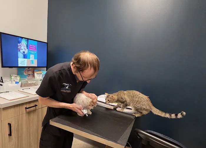 Pointe 183 Animal Hospital & Urgent Care Picture 6