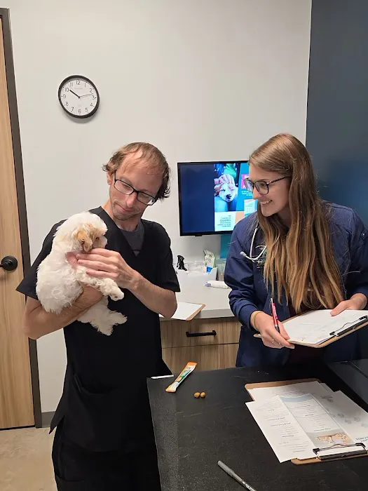 Pointe 183 Animal Hospital & Urgent Care Picture 4