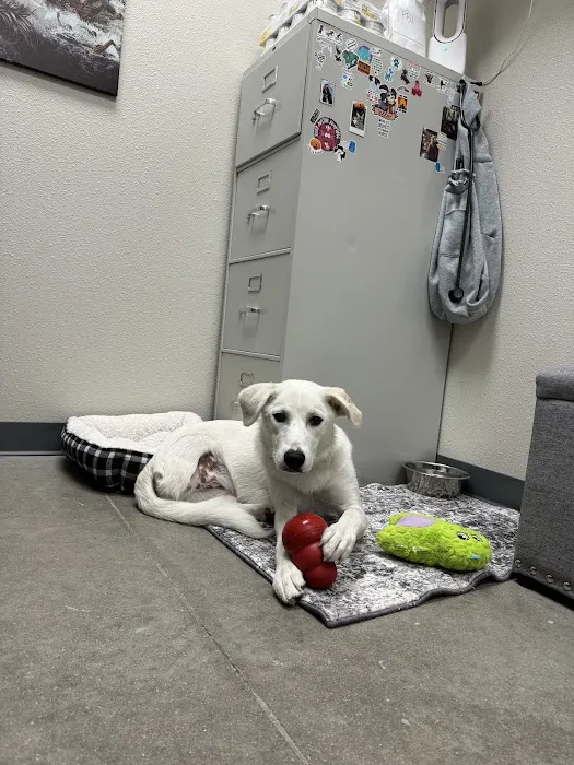 Firehouse Animal Health Center Cedar Park Picture 7