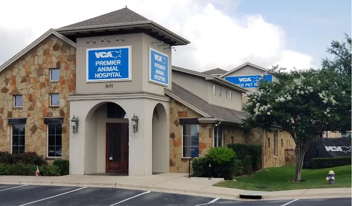 VCA Premier Animal Hospital and Pet Resort Picture 7