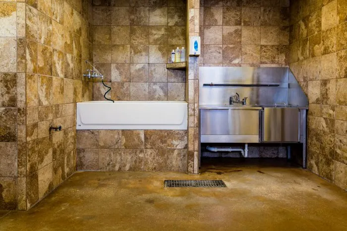 VCA Premier Animal Hospital and Pet Resort Picture 4