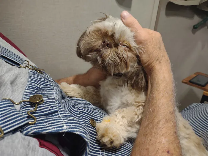 Highland Lakes Veterinary Clinic Picture 1