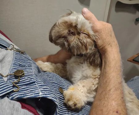 Highland Lakes Veterinary Clinic