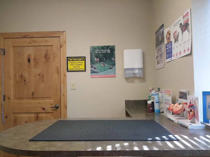 Horseshoe Bay Vet Clinic Picture 9