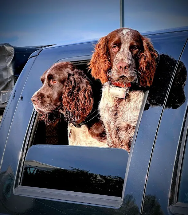 Great Oaks Animal Hospital Picture 9