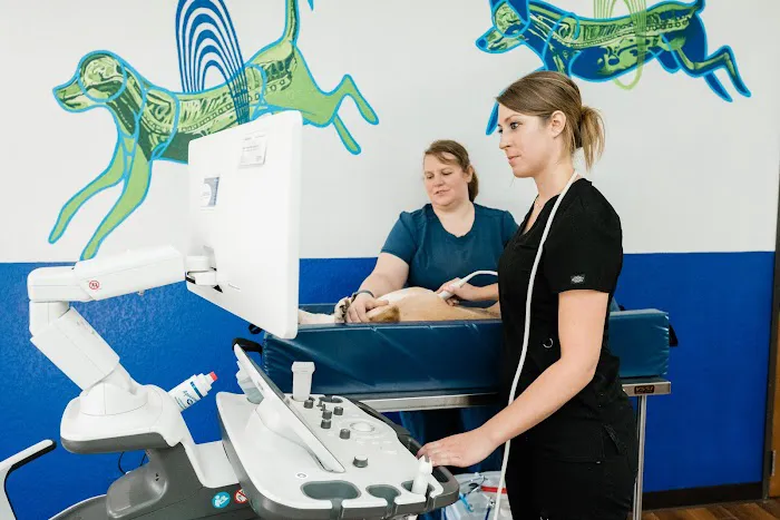 Sage Veterinary Imaging - Round Rock Picture 9