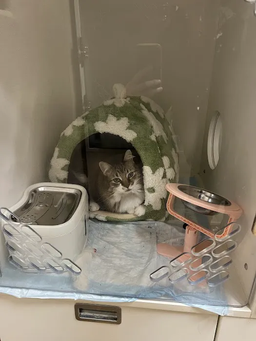 Sage Veterinary Imaging - Round Rock Picture 5