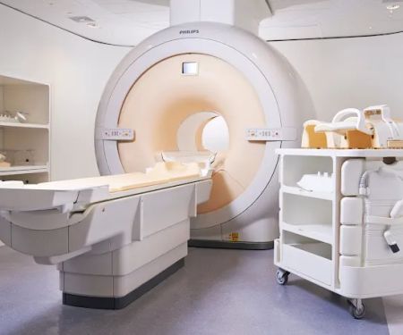 MRI Vets