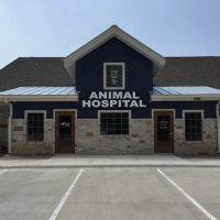 Round Rock Animal Hospital ico