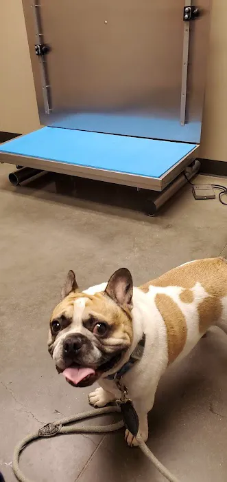 Round Rock Animal Hospital Picture 3