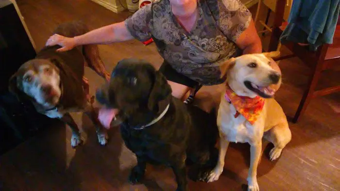 Round Rock Animal Hospital Picture 9