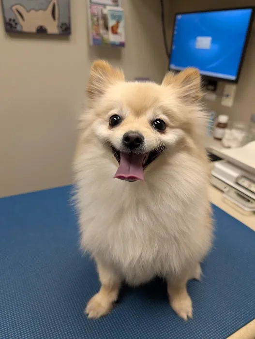 Round Rock Animal Hospital Picture 5