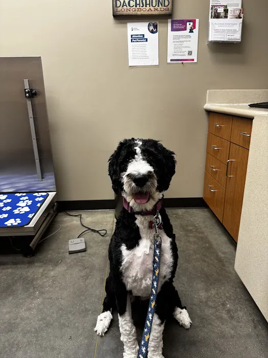 Round Rock Animal Hospital Picture 10