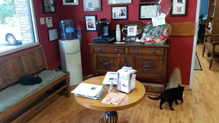 Central Texas Cat Hospital - MERGED W/ SAM BASS VETERINARY WELLNESS Picture 9