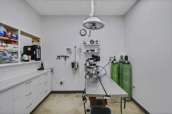Sam Bass Veterinary Wellness Picture 7