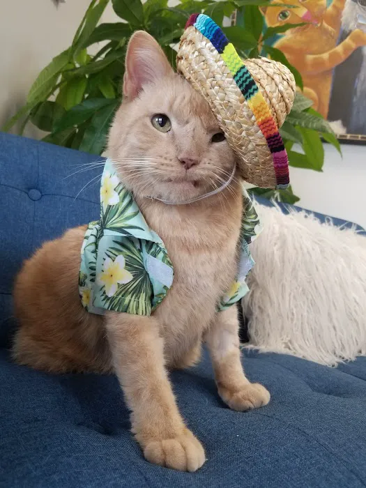 Sam Bass Veterinary Wellness Picture 3