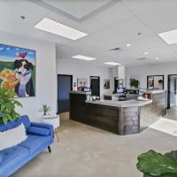 Sam Bass Veterinary Wellness ico