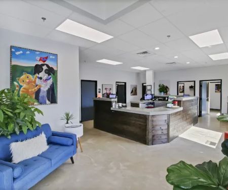Sam Bass Veterinary Wellness