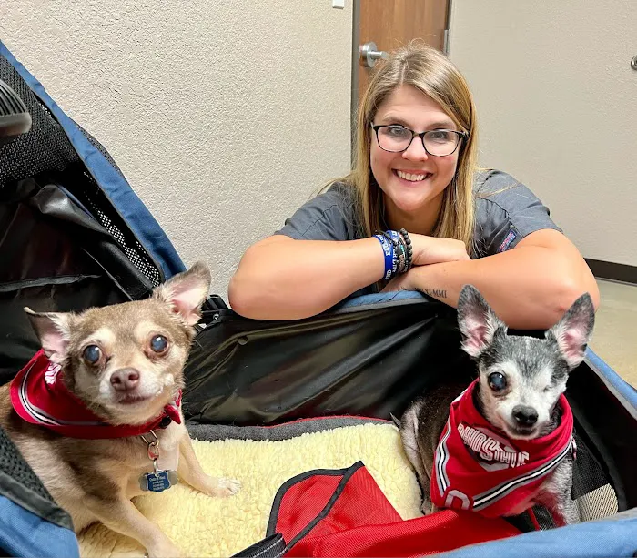 Animal Dermatology Clinic Picture 2