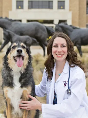 Springtown Veterinary Hospital Picture 1