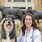 Springtown Veterinary Hospital