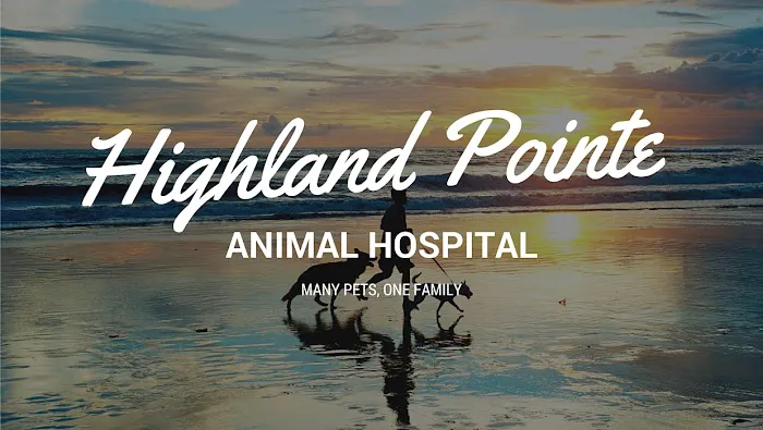 Highland Pointe Animal Hospital Picture 5