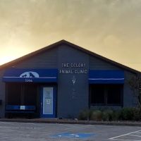 The Colony Animal Clinic ico
