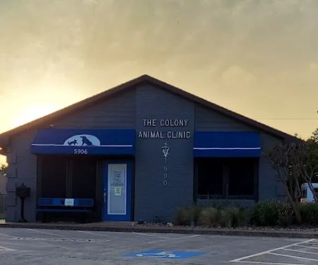 The Colony Animal Clinic
