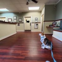 Pavillion Animal Hospital ico