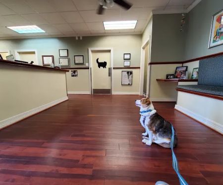 Pavillion Animal Hospital