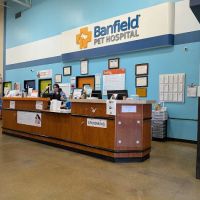 Banfield Pet Hospital ico