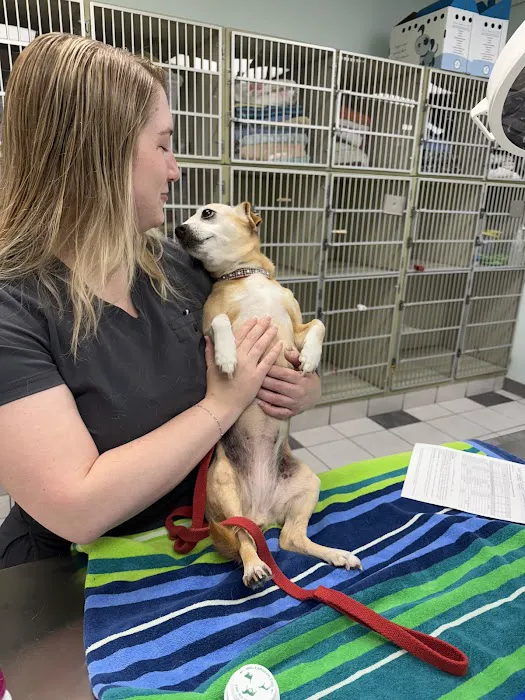 VCA Preston Park Animal Hospital Picture 2