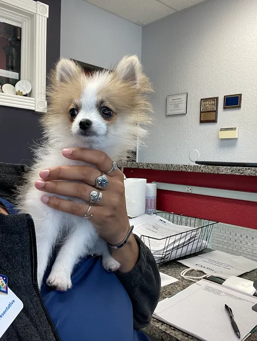 VCA Preston Park Animal Hospital Picture 9