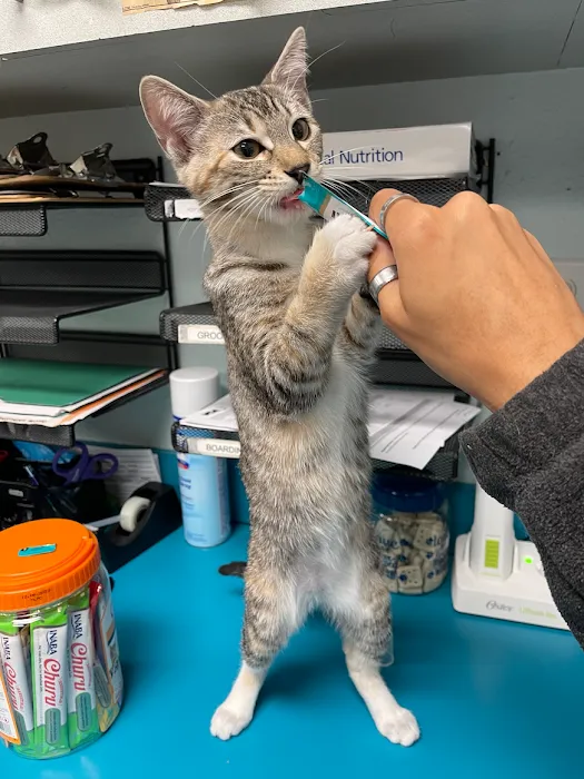 VCA Preston Park Animal Hospital Picture 8
