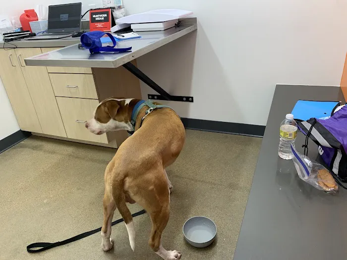 Vetsavers Pet Hospital Picture 7